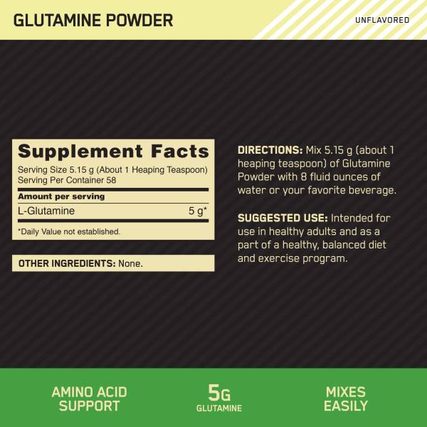 ON Glutamine Powder